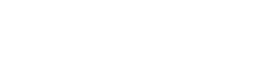 BHSI logo