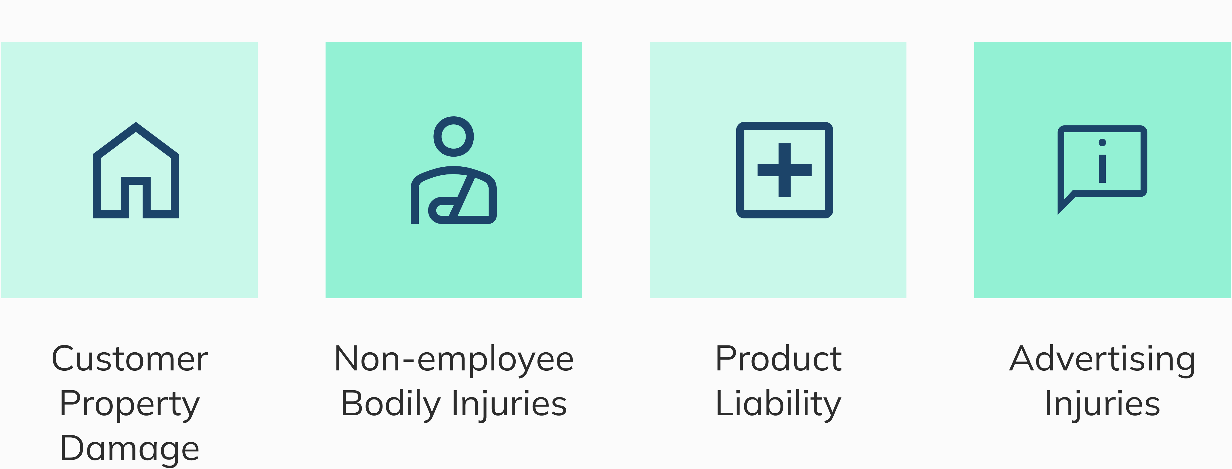 Customer Property Damage, Non-employee Bodily Injuries, Product Liability, Advertising Injuries
