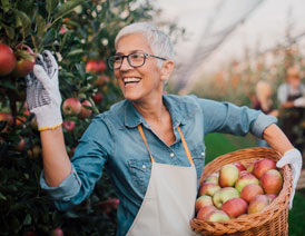 FAQ Article Small Seasonal Worker 1056015258