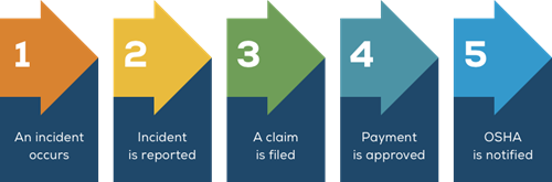 Guide to claims