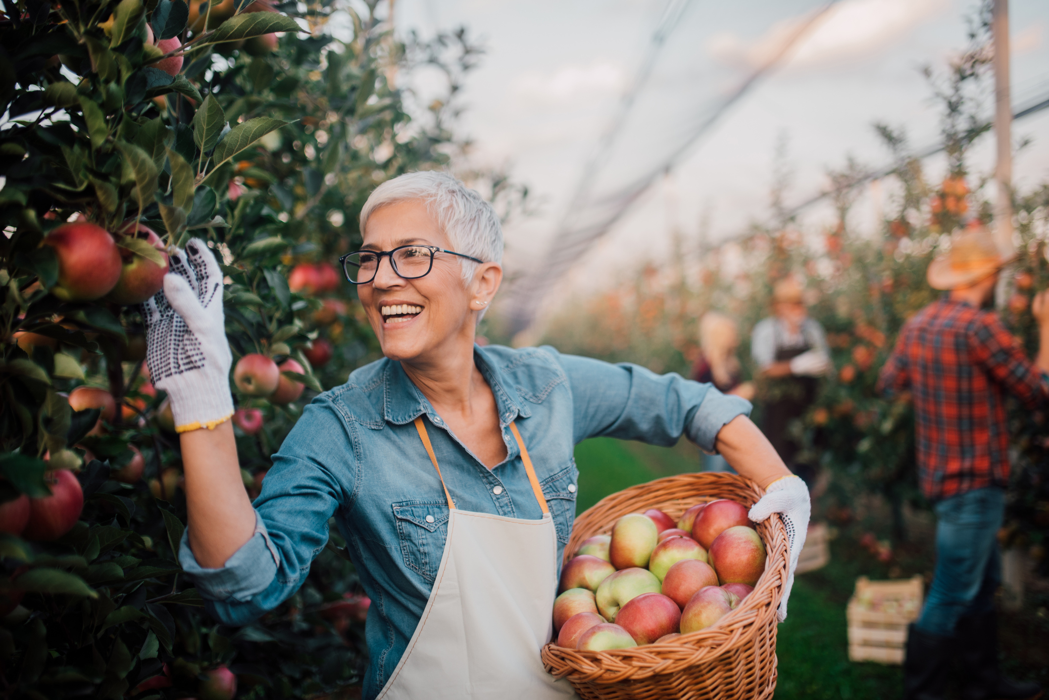 Oregon gardening 